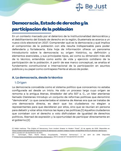 factsheet democracia